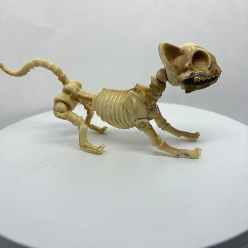 Articulated Cat Skeleton Halloween Figurine Posable Plastic Bone Decor 7 Inch